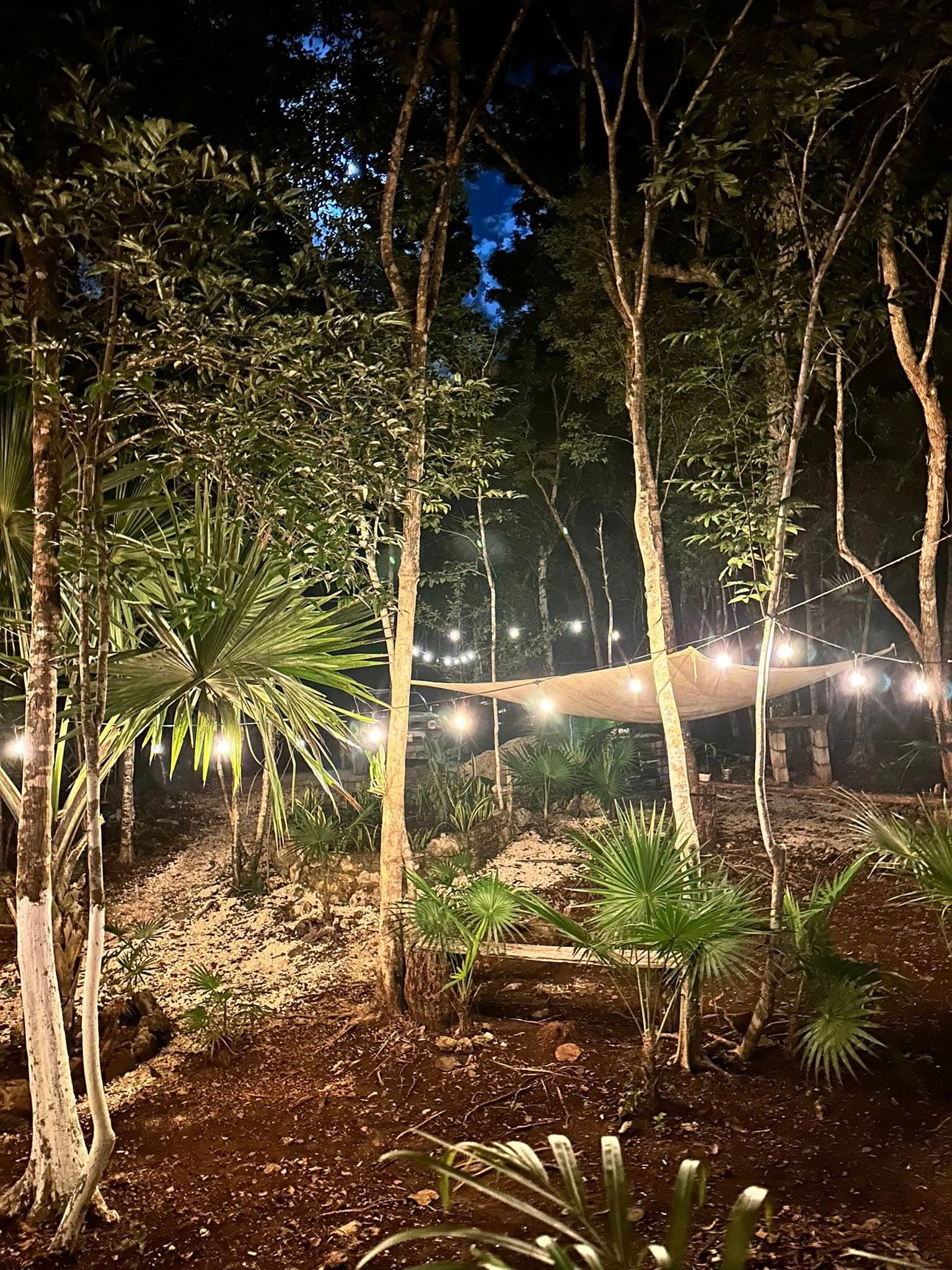 Jungle Cabin at Night